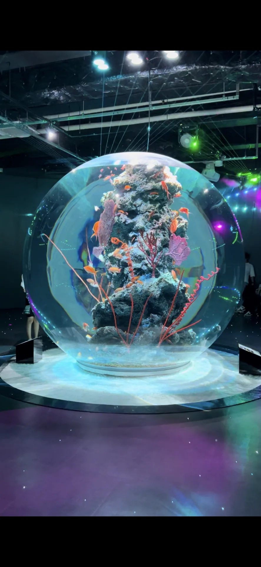 神戸一人旅♡喫茶と水族館で映え写真