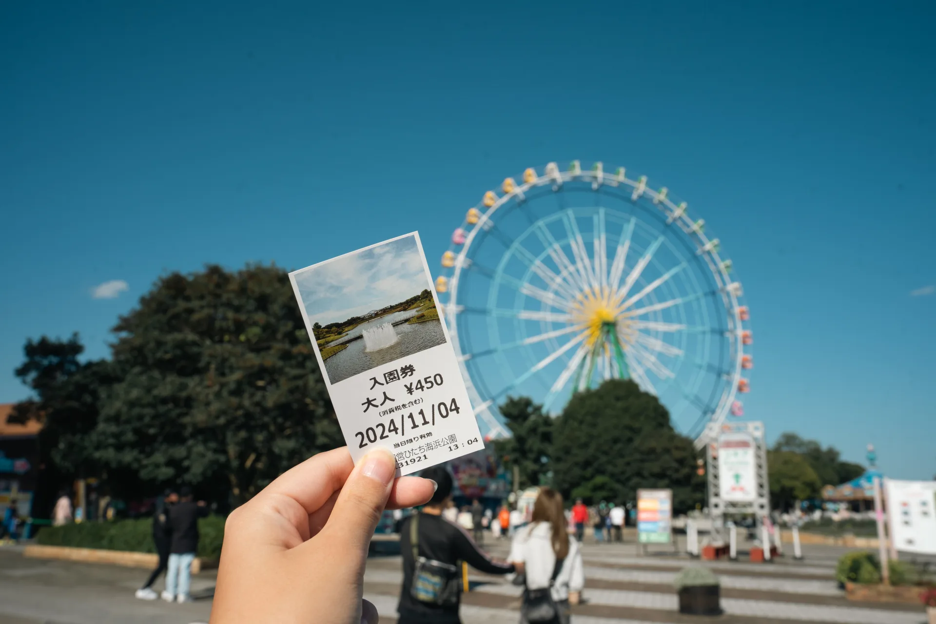 四季の花が彩る旅