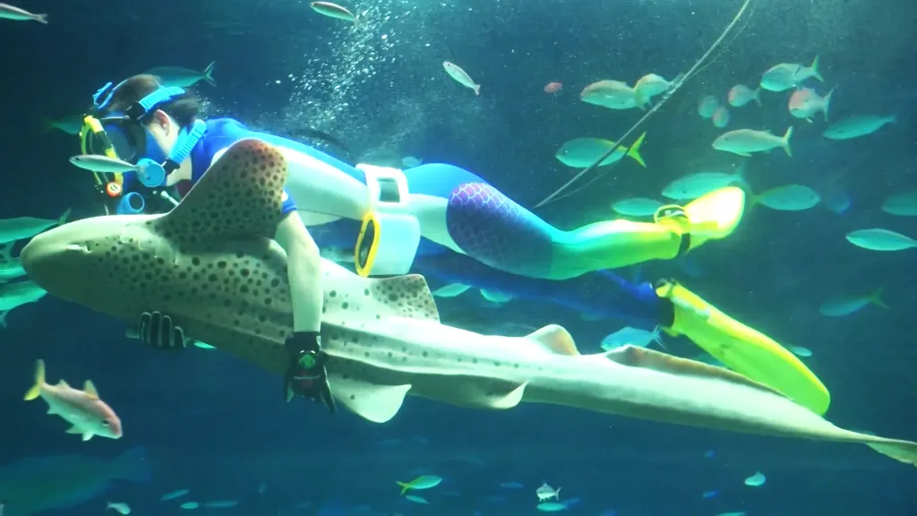 #06 大都会に息づく水族館のパイオニア