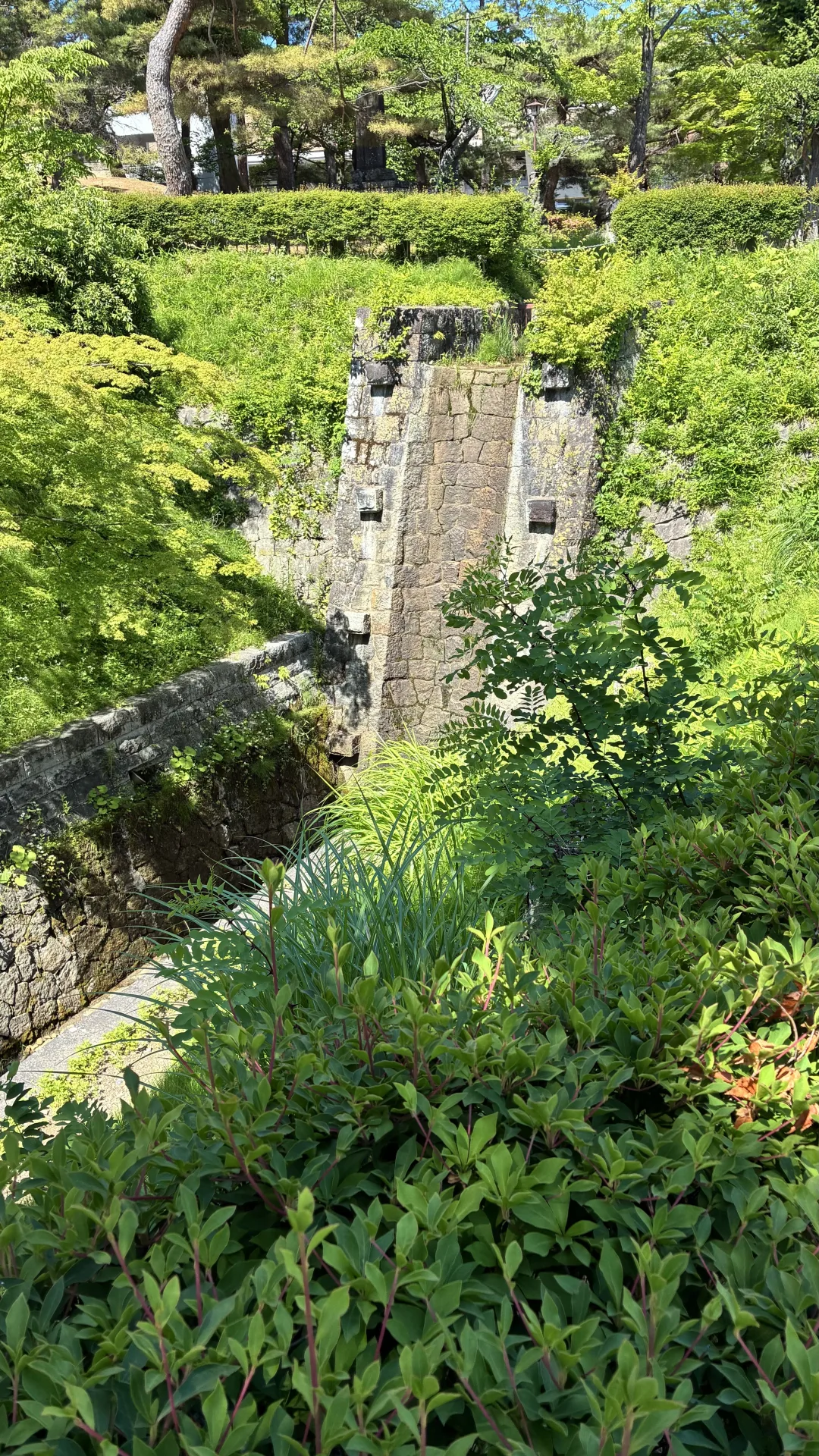 “思いがけない感動”に出会う旅