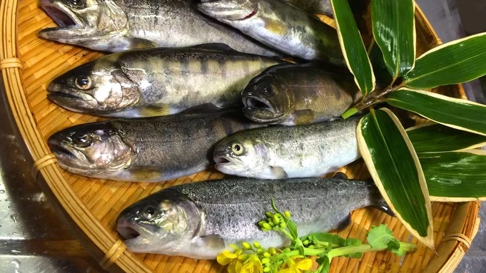 英彦山とオレの湯めぐり