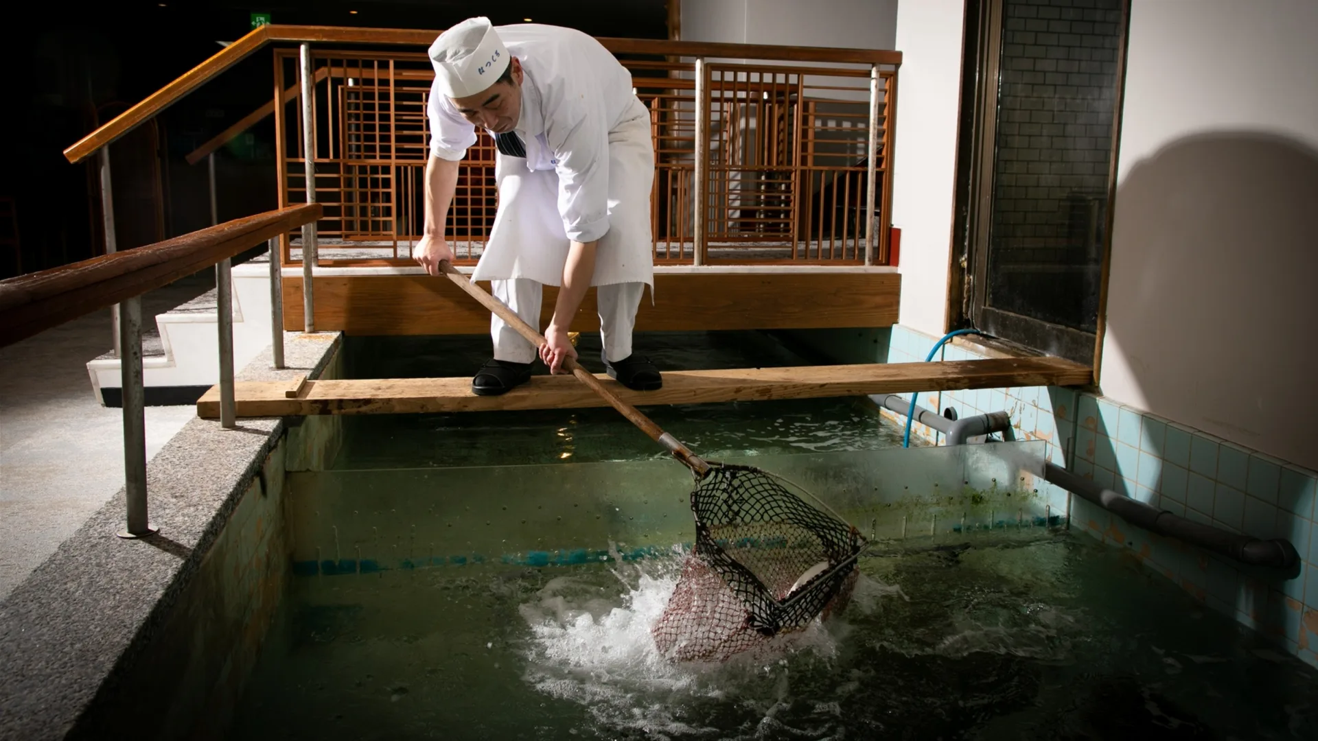 魚を食う、オレの海辺旅