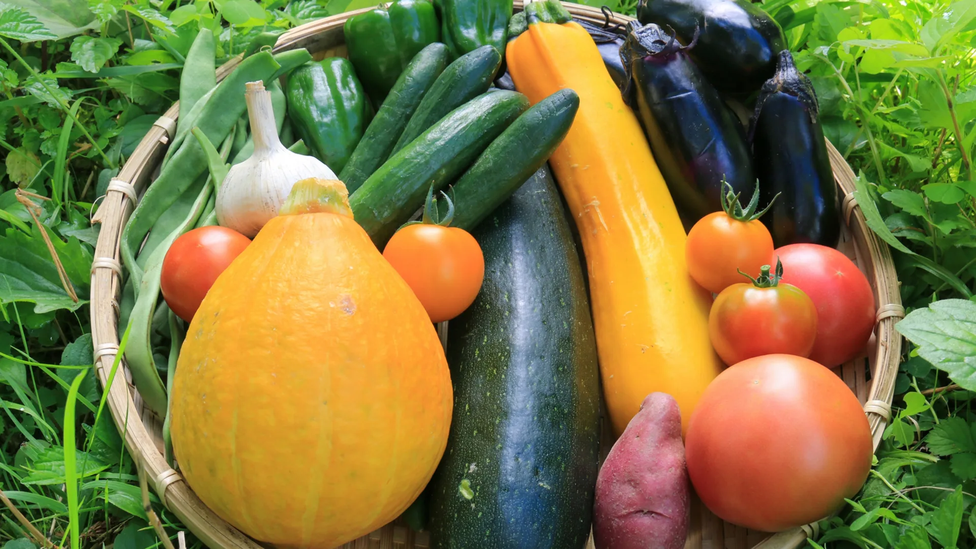 和室6畳、自家製野菜。