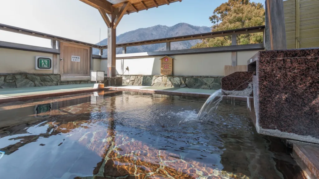 弥彦の森と展望朝食